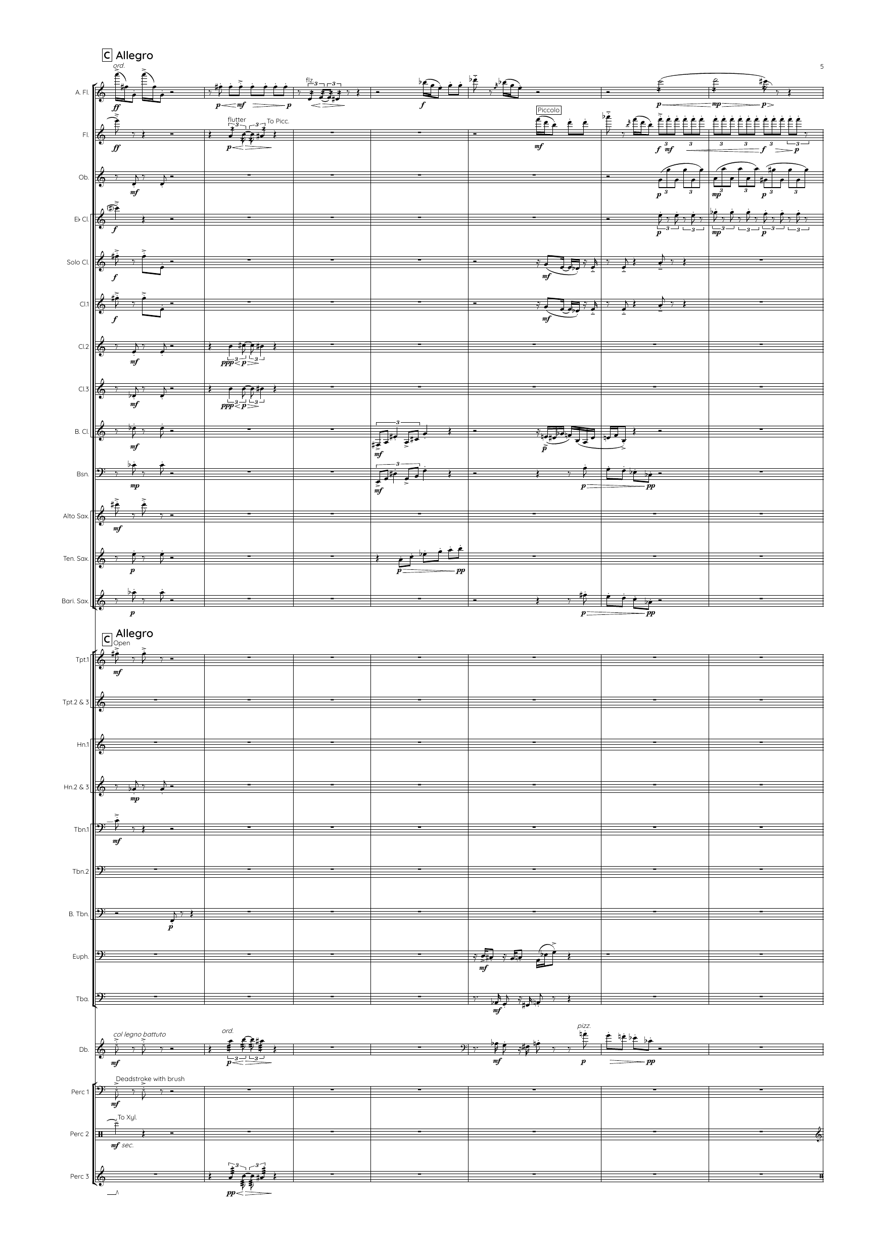 Three Birds - Concerto in three movements for flutist and wind band - Image 9