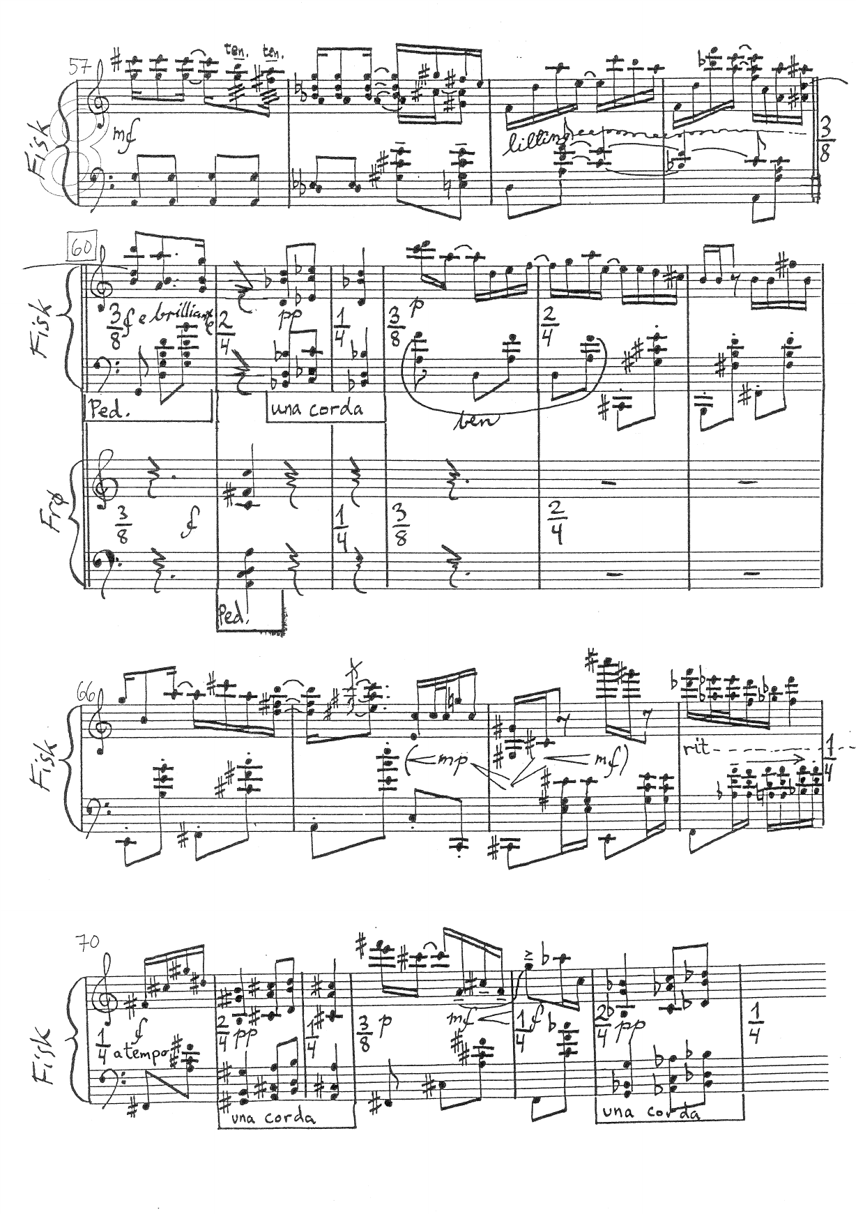Solgenser - En Kantilén Raytimes for siamesisk piano for - 2 pianoer (Fisk & Frø) - Image 8
