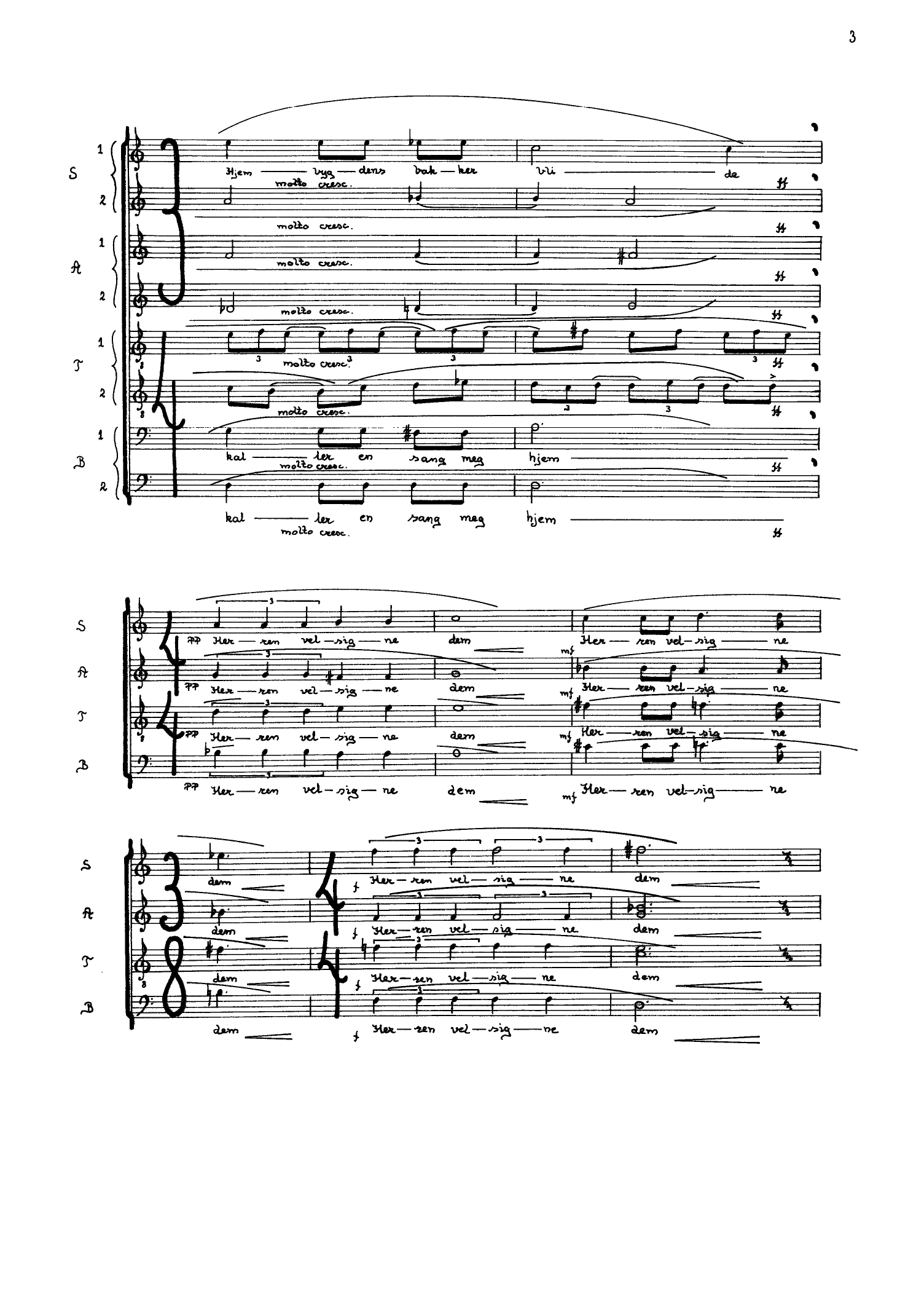 Cobadinaas - Concert Piece for Oboe, Clarinet, Bassoon and Band, op. 77 - Bilde 5
