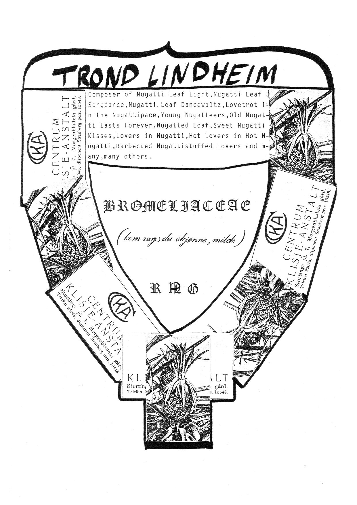 Bromeliaceae Rag