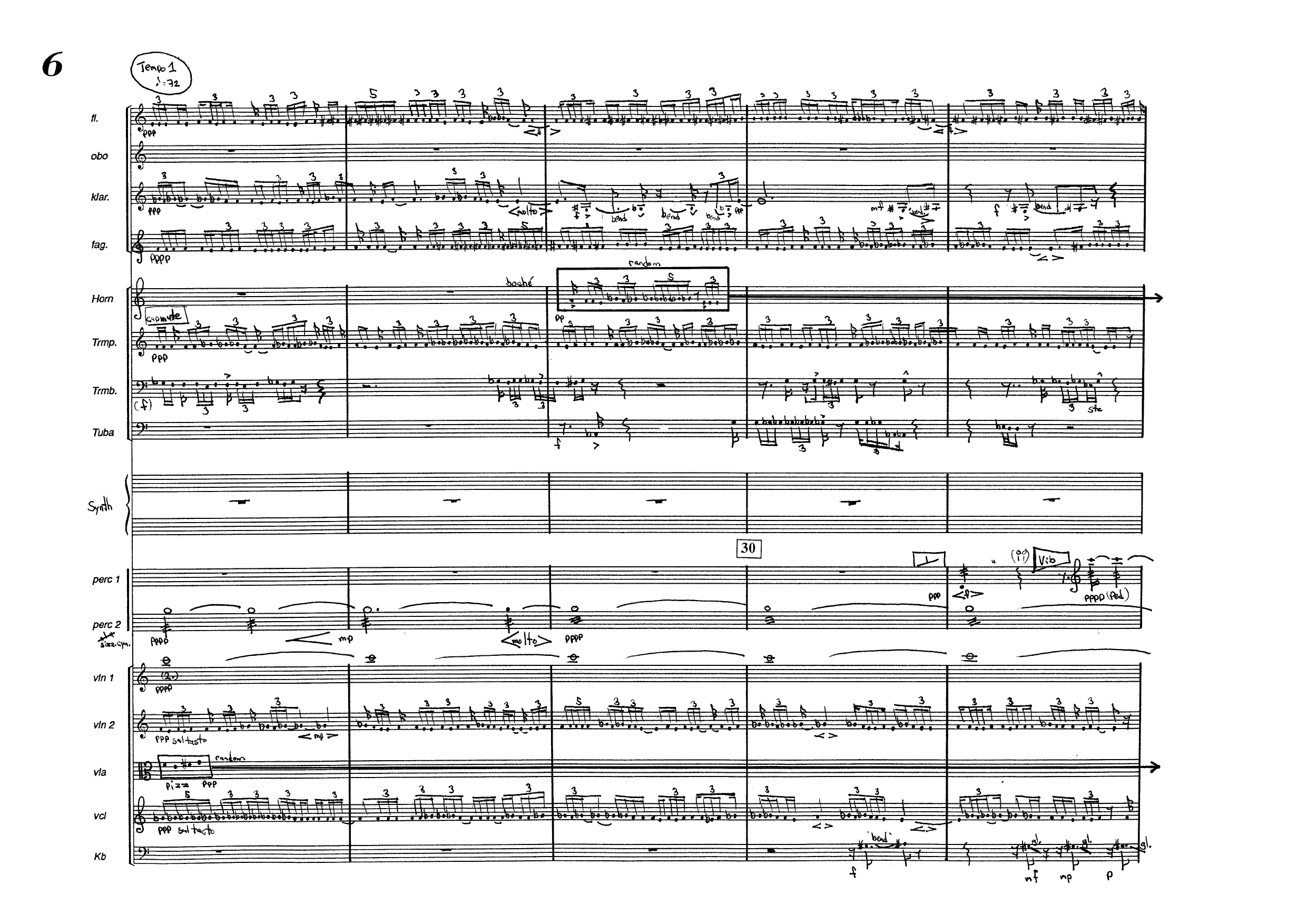 The Primitive. The Poison. The Storm - Drama for sinfonietta - Bilde 8