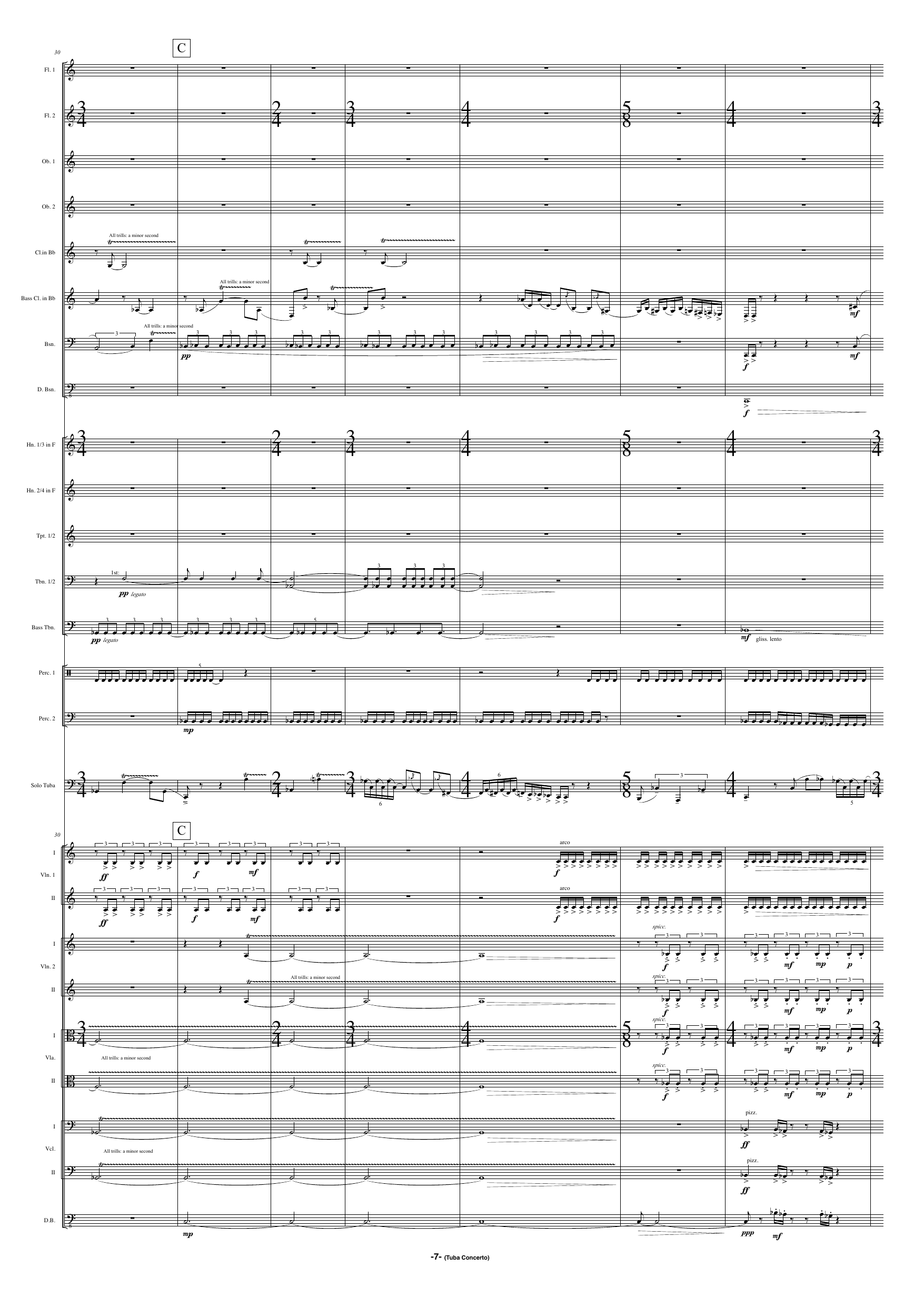 Concerto for Tuba and Orchestra - "The Cry of Fenrir" - Bilde 9