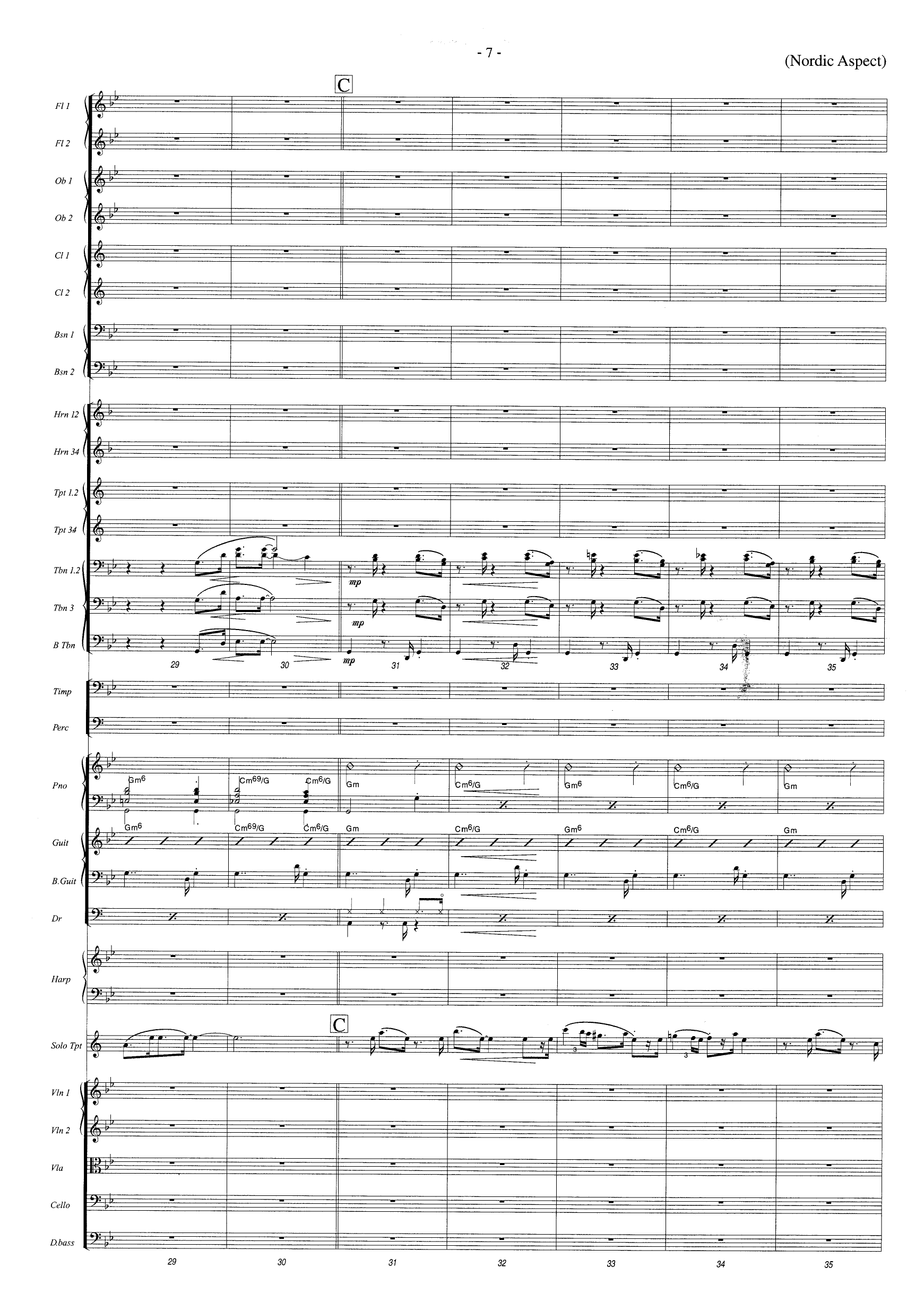 Nordic Aspect - For Trumpet and Orchestra - Image 7