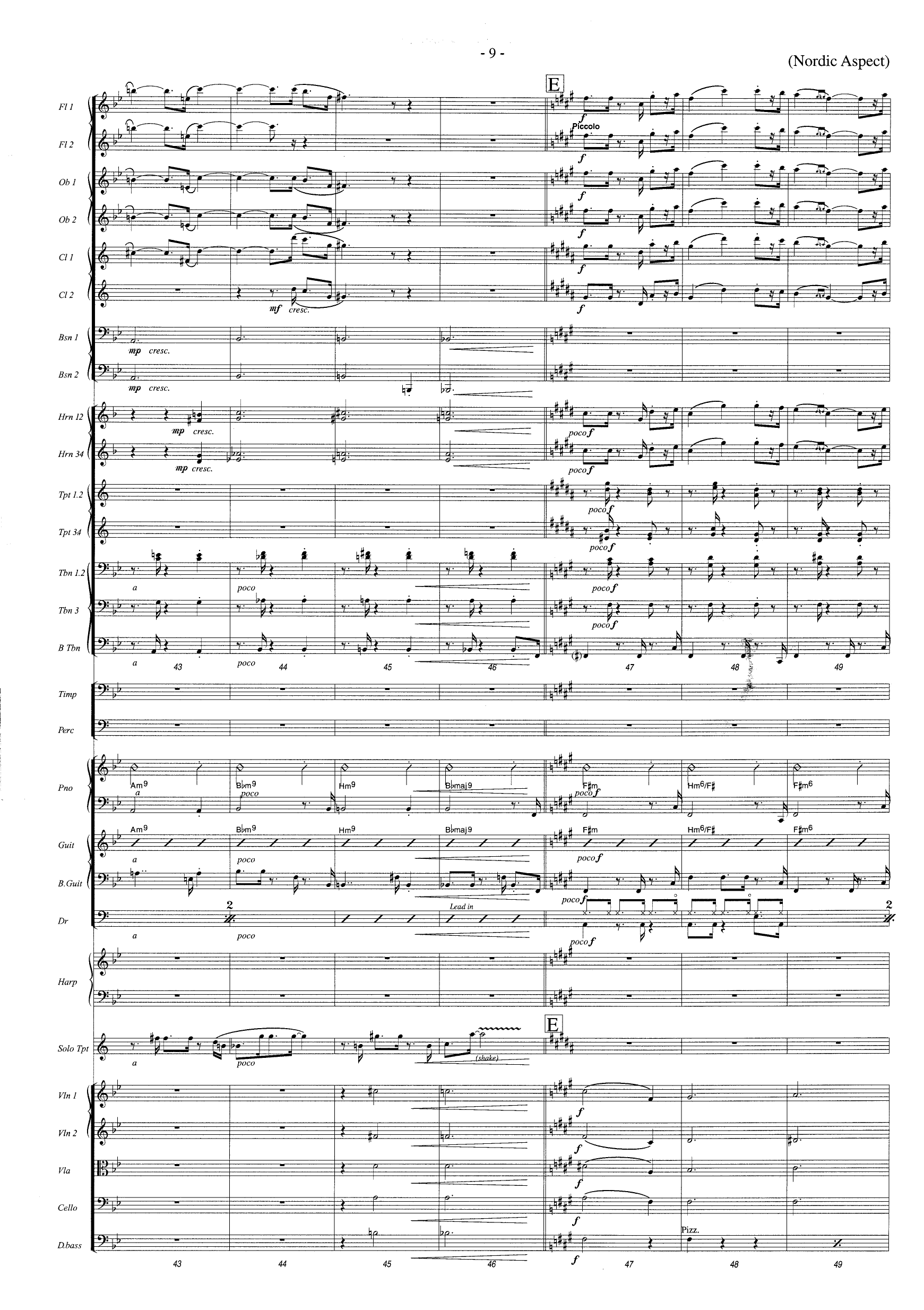 Nordic Aspect - For Trumpet and Orchestra - Image 9