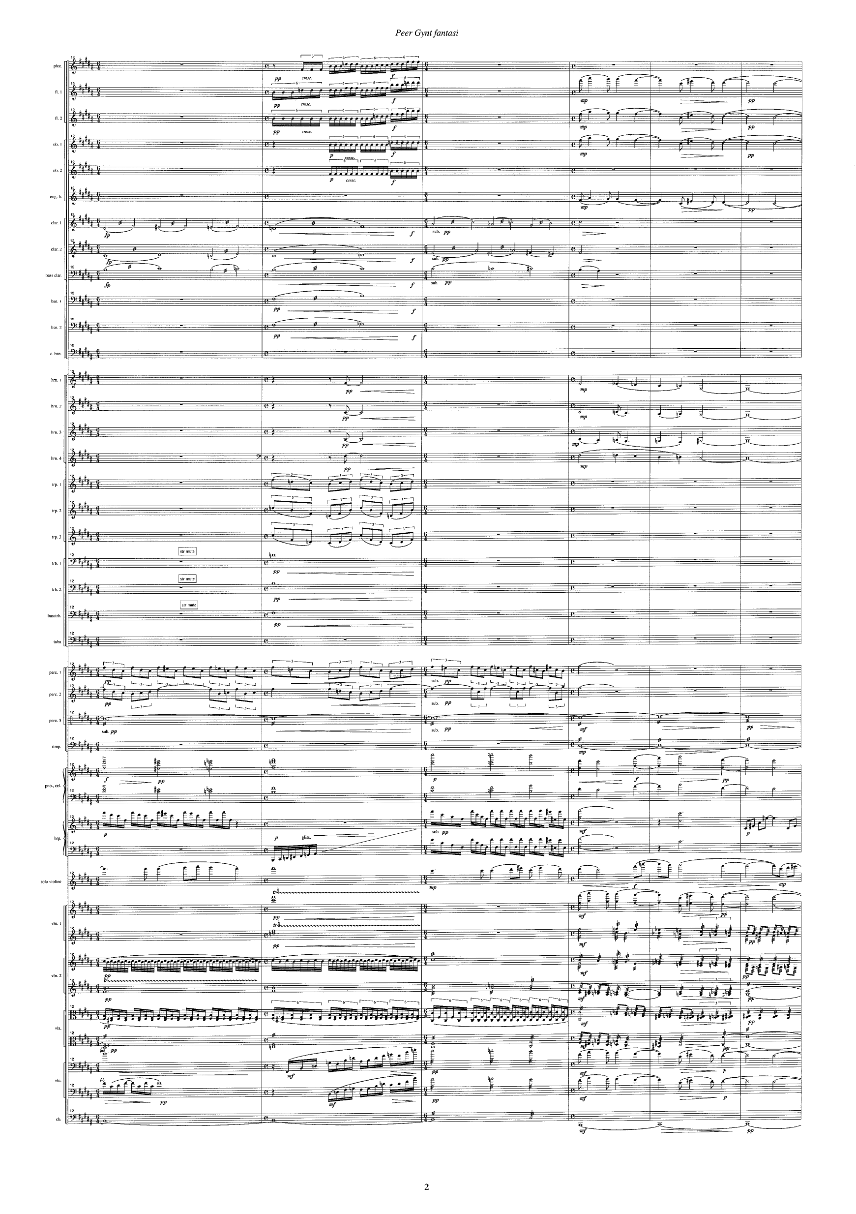 Peer Gynt Fantasi - Konsertfantasi for fiolin og orkester basert på temaer fra Edvard Griegs Peer Gynt - Bilde 4
