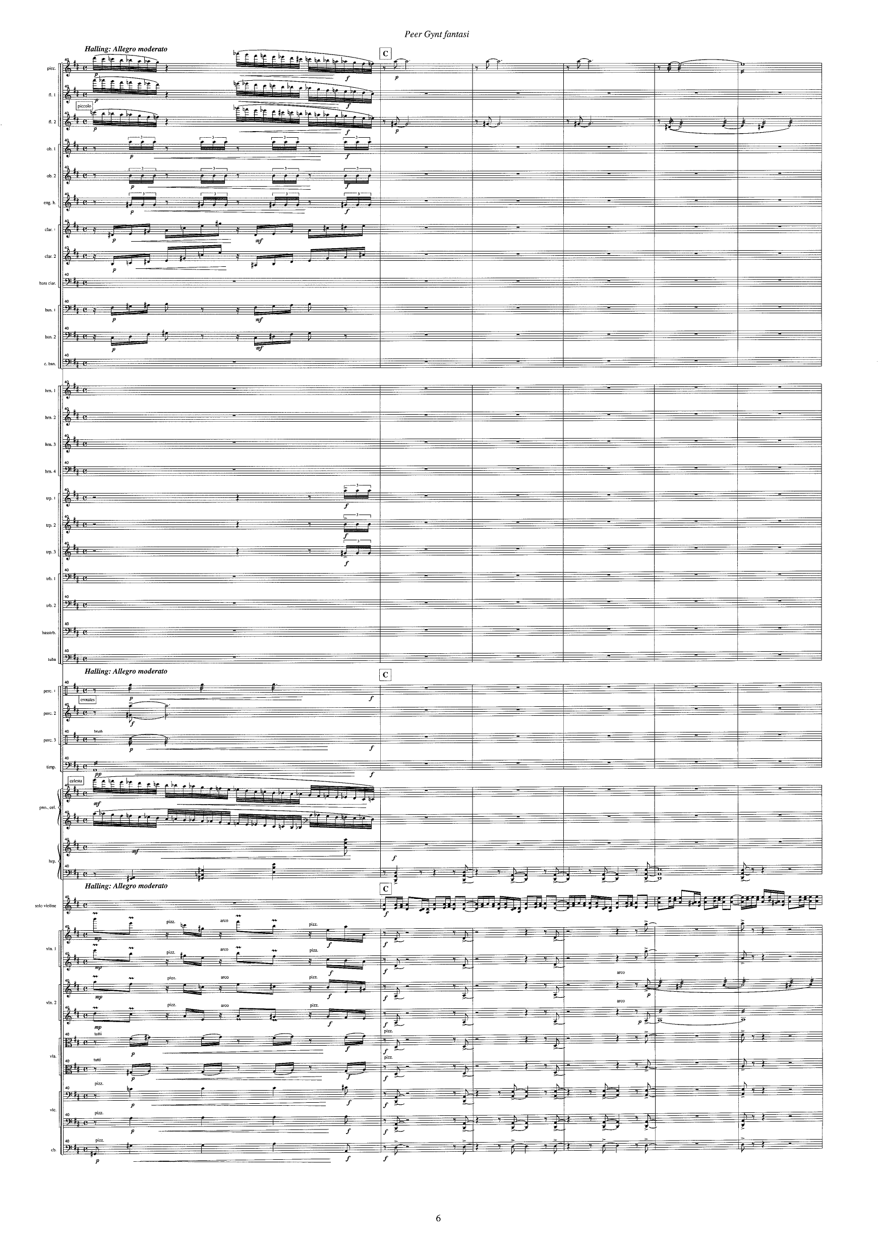 Peer Gynt Fantasi - Konsertfantasi for fiolin og orkester basert på temaer fra Edvard Griegs Peer Gynt - Bilde 8