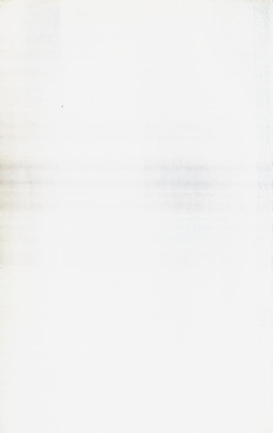 Skann 266 av Normalplanen 1939 · byplan · 1939-vitne