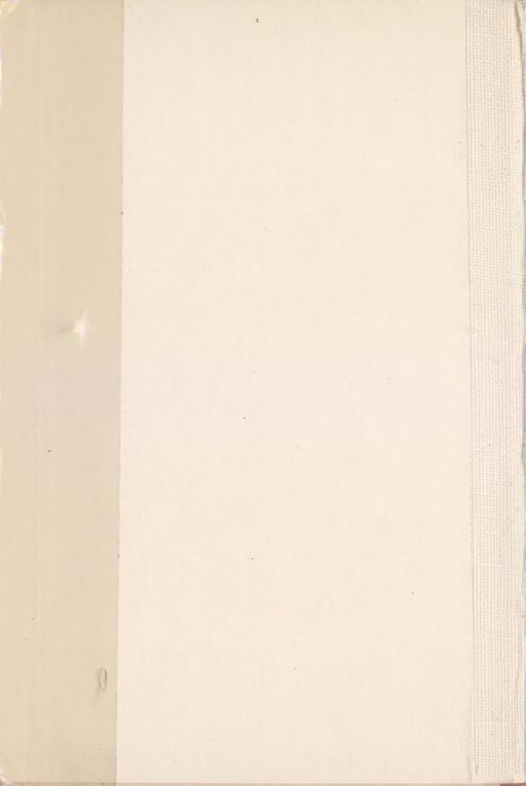 Skann 2 av Normalplanen 1939 · byplan · 1939-vitne