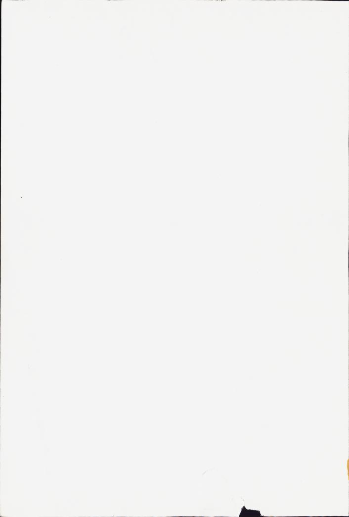 Skann 354 av Mønsterplanen 1971 · midlertidig utgave