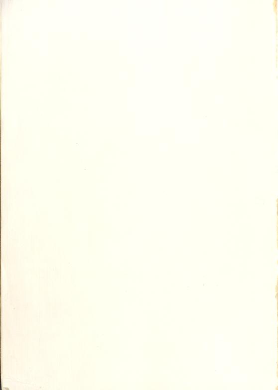 Skann 2 av Mønsterplanen 1974