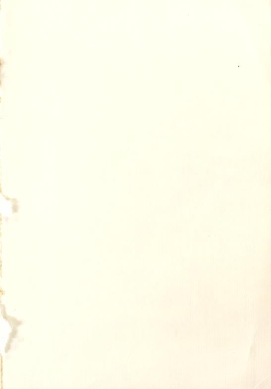 Skann 385 av Mønsterplanen 1974