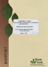 Forsidebilde