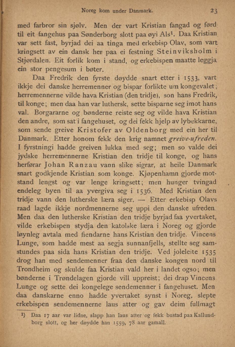 Skann 25 av Ei liti illustrerad Noregs soga fyre folkeskulen (1894)