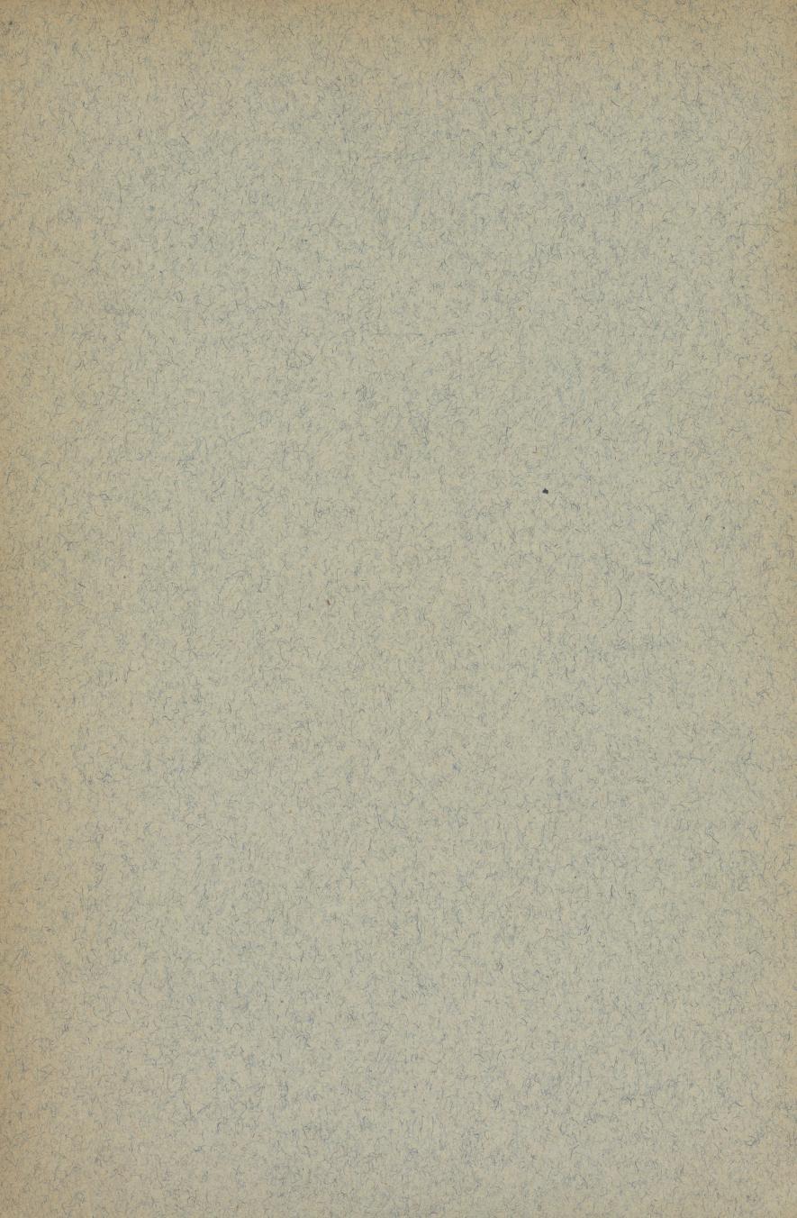 Skann 2 av Ei liti illustrerad Noregs soga fyre folkeskulen (1894)