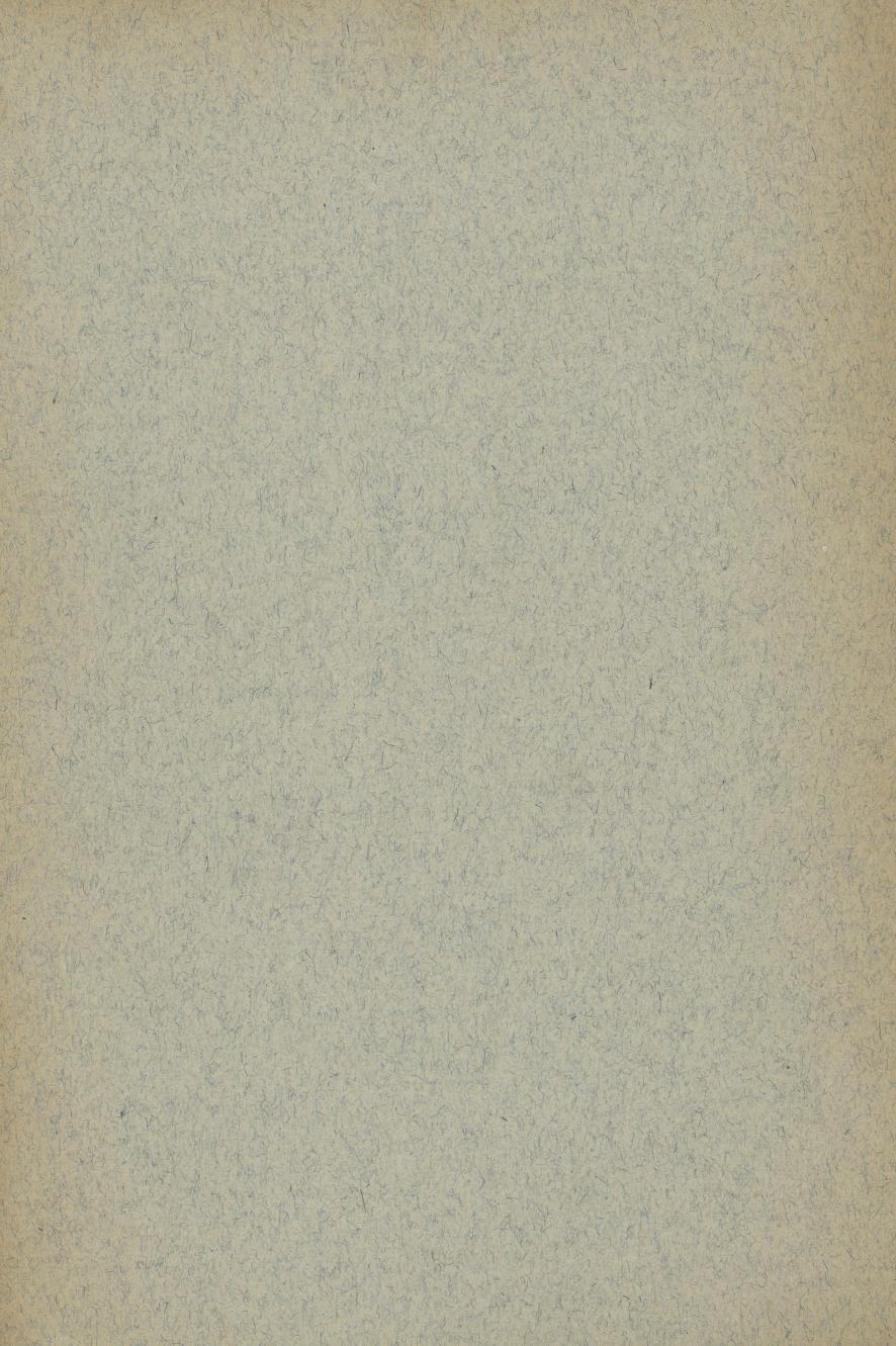 Skann 51 av Ei liti illustrerad Noregs soga fyre folkeskulen (1894)