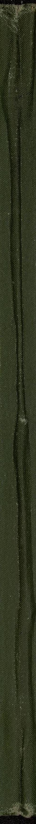 Skann 33 av Undervisningsplan 1890