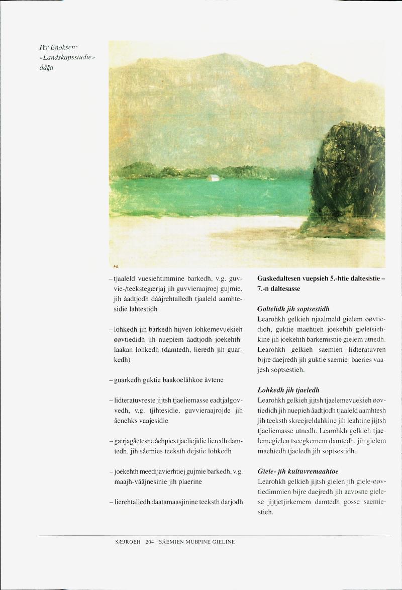 Skann 206 av Det samiske læreplanverket 1997 (L97S)