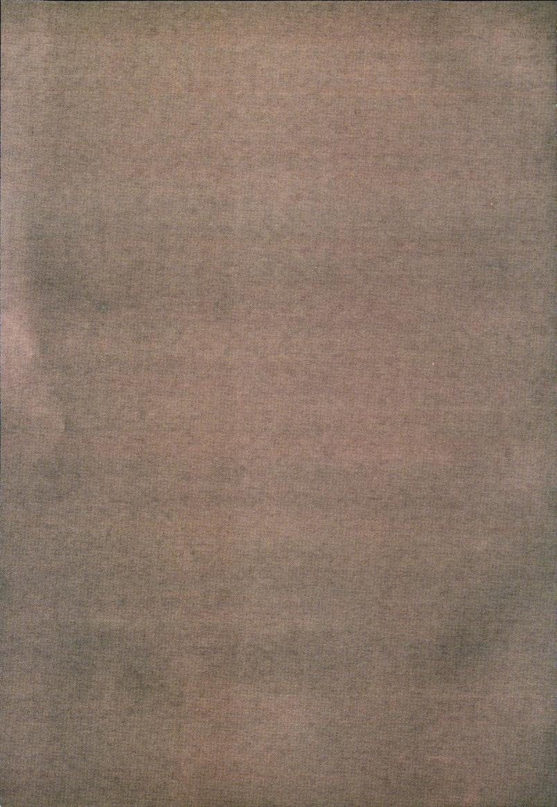 Skann 595 av Det samiske læreplanverket 1997 (L97S)