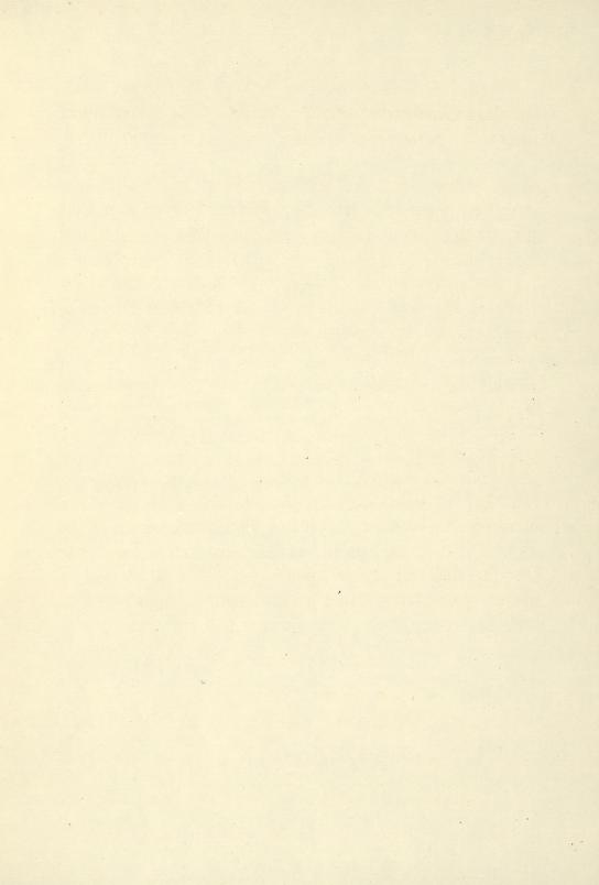 Skann 13 av Plan for almueskolene på landet 1834