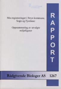 Forsidebilde