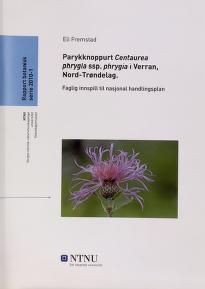Forsidebilde