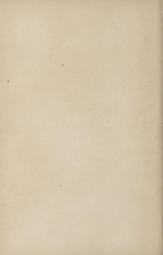 Skann 14 av Normalplanen 1922