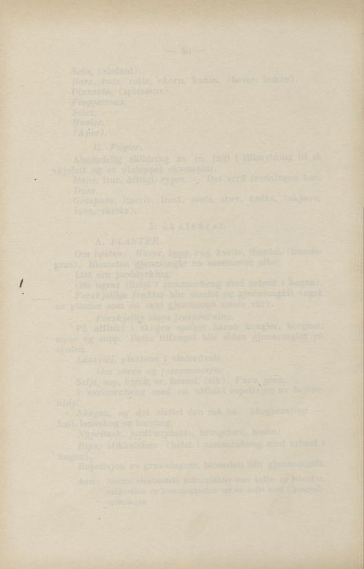 Skann 102 av Normalplanen 1922