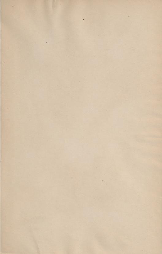 Skann 233 av Normalplanen 1922