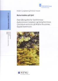 Forsidebilde